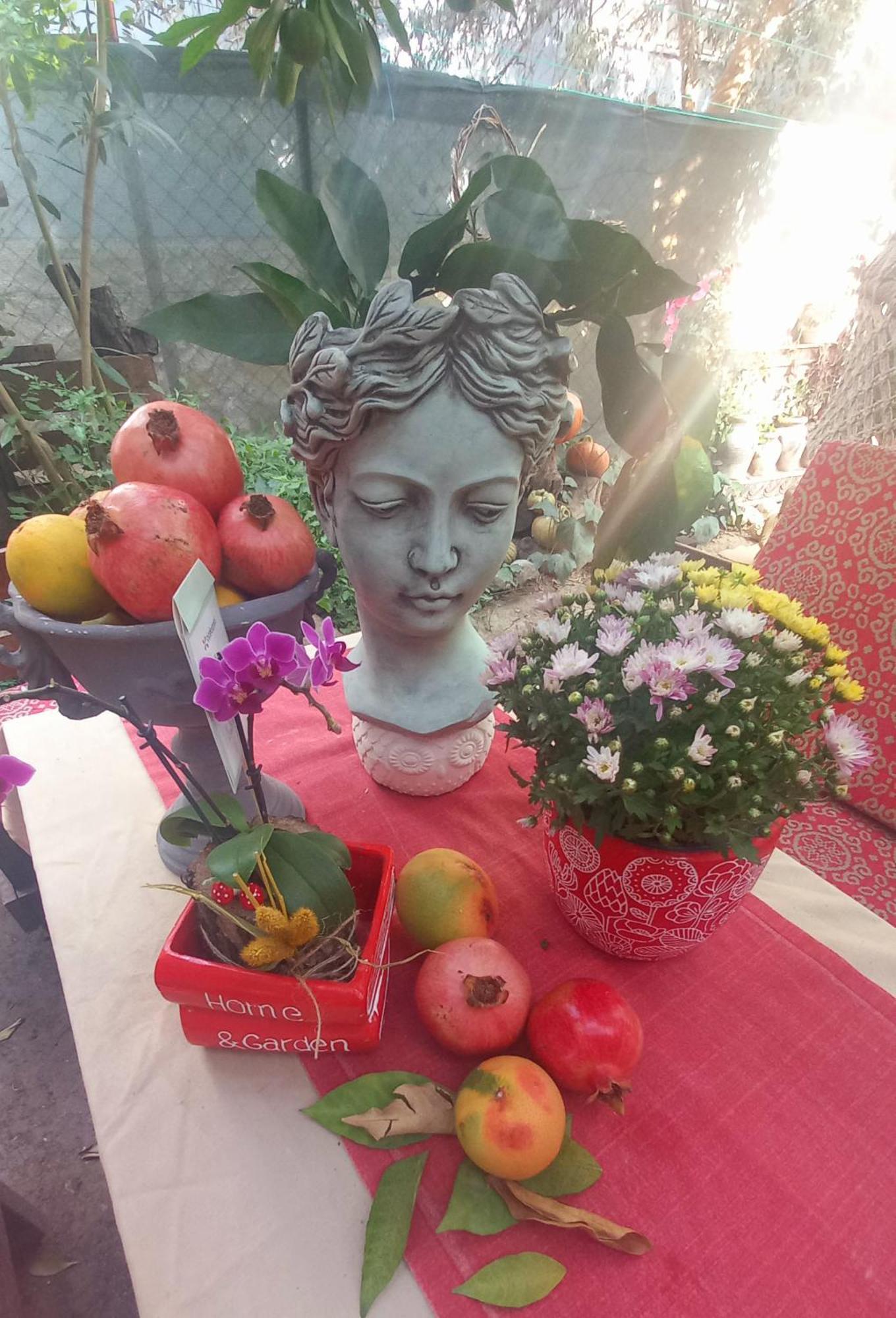Demeter Rose Stonehouse Pansion Apartment Antalya Luaran gambar
