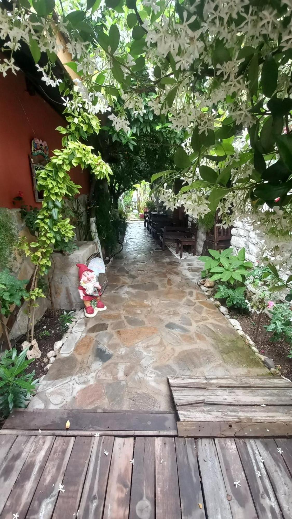 Demeter Rose Stonehouse Pansion Apartment Antalya Luaran gambar